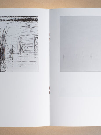 Pejzaż w Twórczości Członków Łódzkiego Towarzystwa Fotograficznego