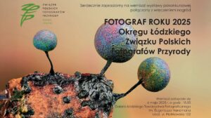 Read more about the article Fotograf Roku 2025