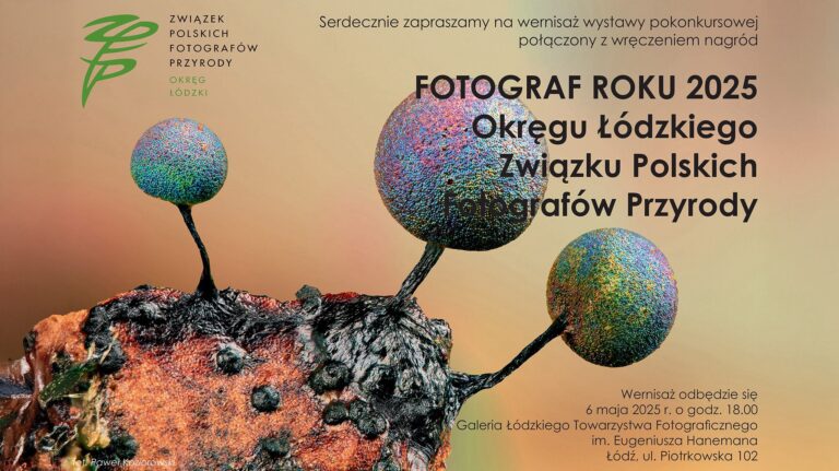 Read more about the article Fotograf Roku 2025