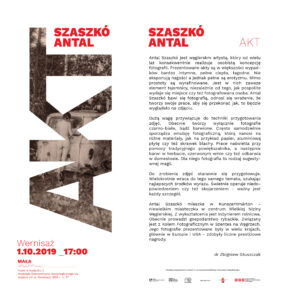 Read more about the article Szaszkó Antal – Akt