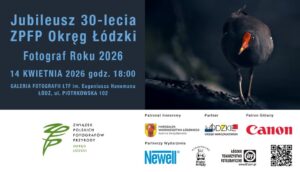 Read more about the article Fotograf Roku 2026