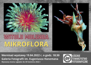 Read more about the article Witold Molenda-Mikroflora