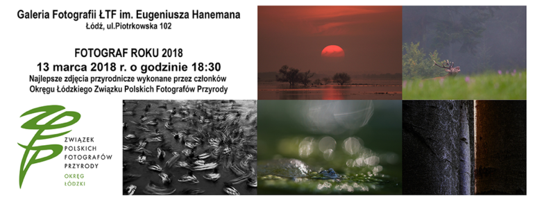 Read more about the article Fotograf Roku 2018