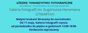 Read more about the article Galeria Fotografii im. E. Hanemana
