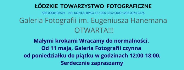 Read more about the article Galeria Fotografii im. E. Hanemana