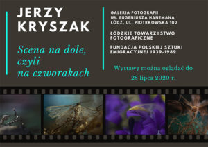 Read more about the article Jerzy Kryszak