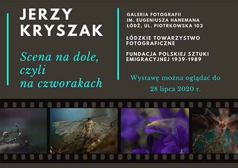 Read more about the article Jerzy Kryszak
