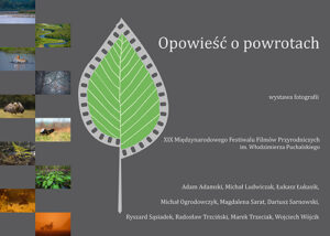 Read more about the article Opowieść o powrotach